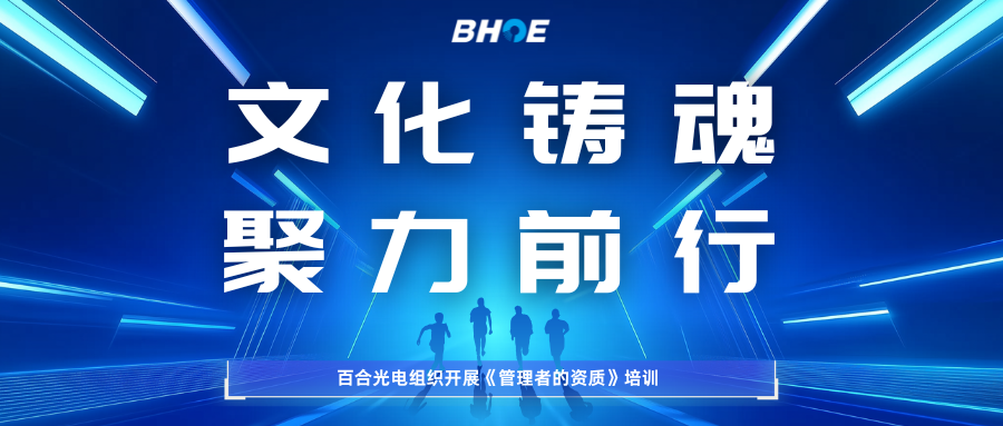 JMk Sports专题培训 | 文化铸魂 聚力前行